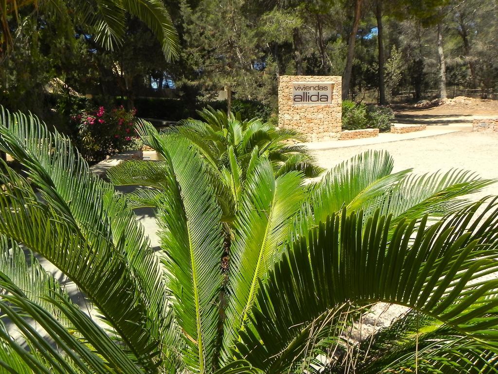 Viviendas Turisticas Vacacionales Allida Playa Migjorn Bagian luar foto